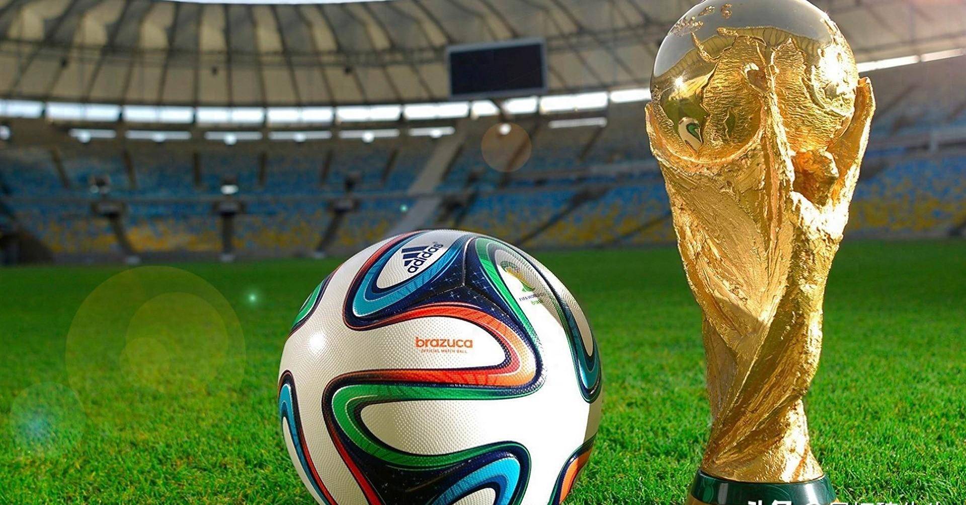 更让鹈鹕头 更让鹈鹕头