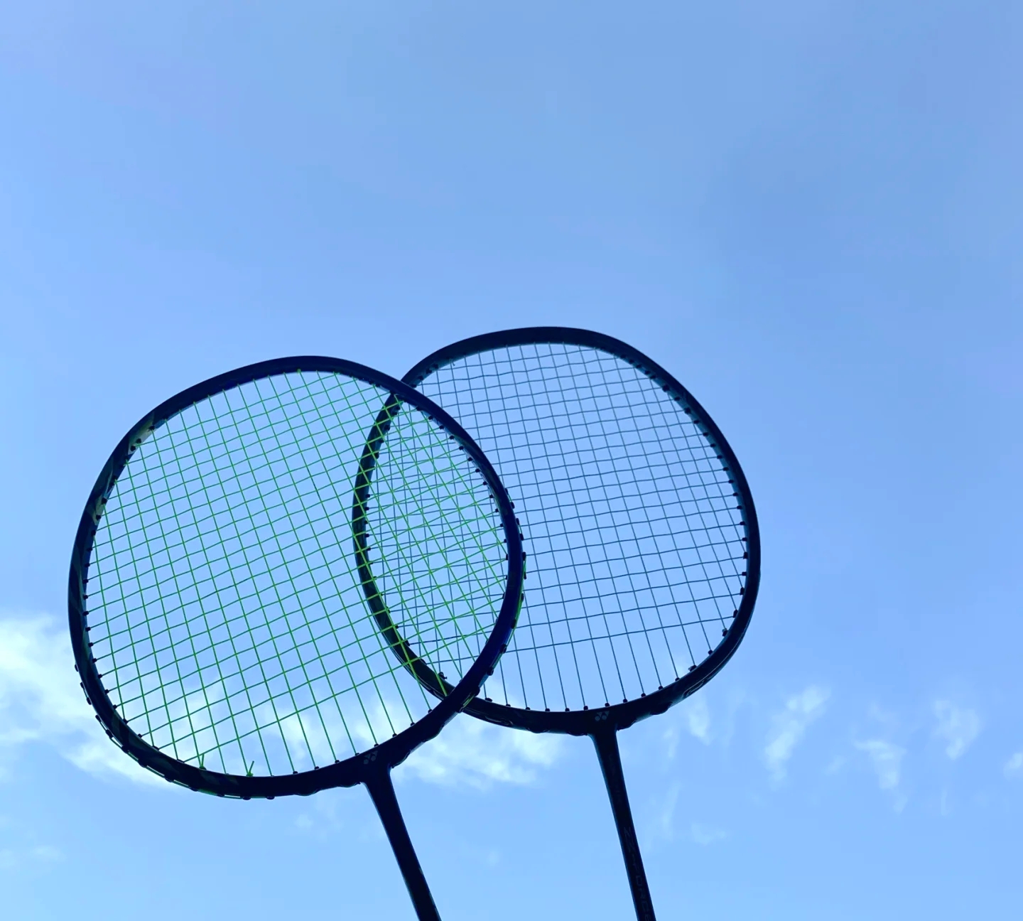 提供了有力 提供了有力