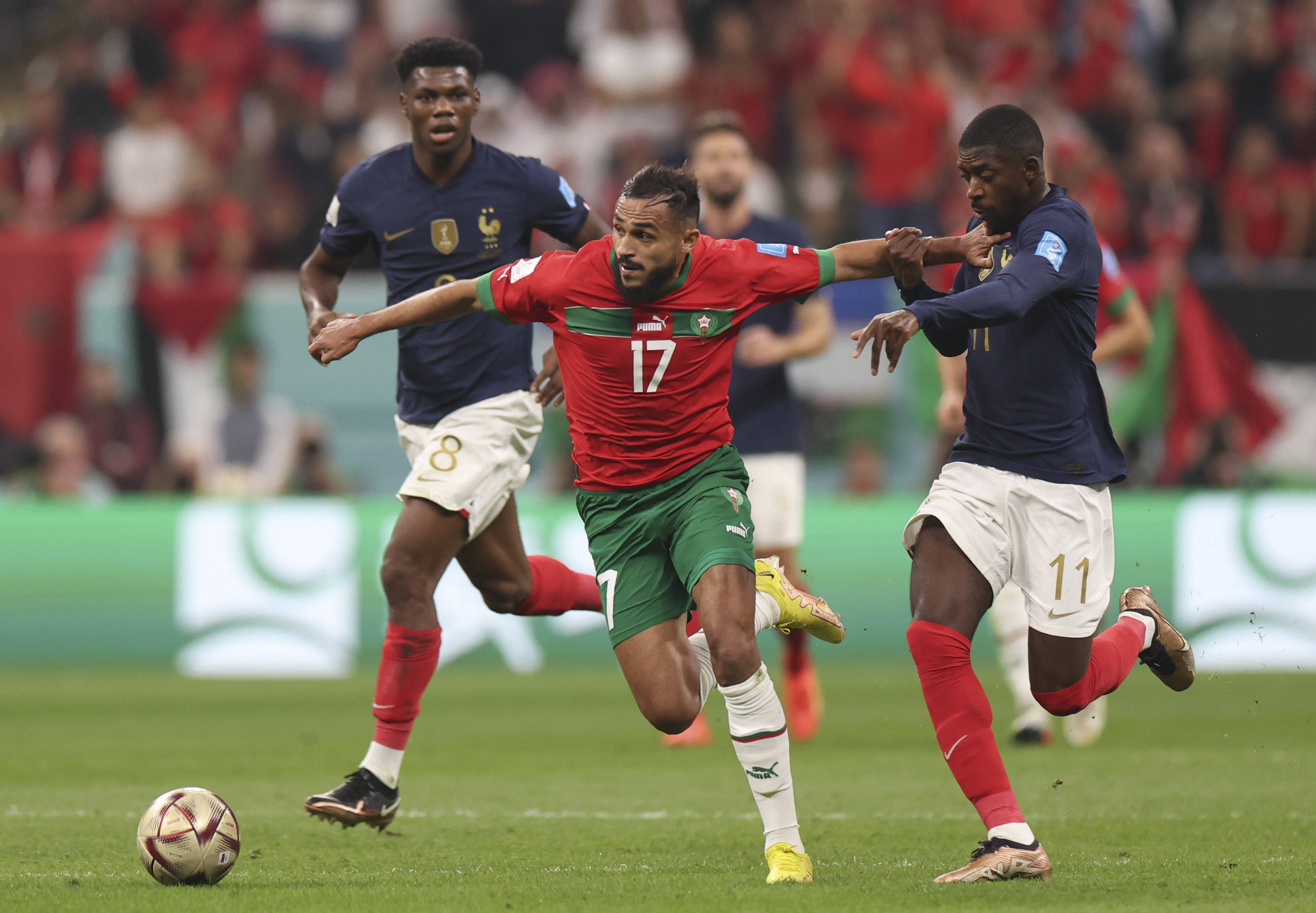 将在整个巅 将在整个巅